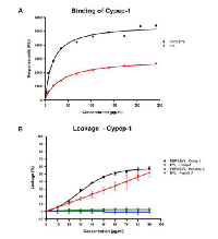 Figure  4:  Quantification  of  Cypep-1s  binding  to  negatively charged and neutral liposomes. 