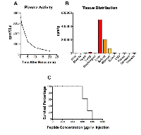 Figure 5:  Pharmakokinetics, tissue distribution and toxicity after intravenous injection of 125I-labelled Cypep-1. 