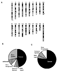 Figure 4:  Patterns of strain haplotype sharing localize candidate regions harboring Trp53-/-  modifiers. 