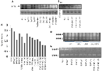 Figure 5: 