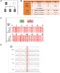 Figure 6: Mexican family carrying the truncated mutant pR552*. 