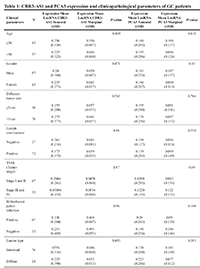 Table 1: CBR3-AS1 and PCA3 expression and clinicopathological parameters of GC patients